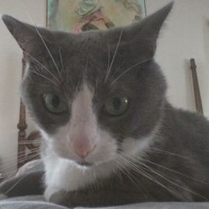 Meet your Posher, Robert